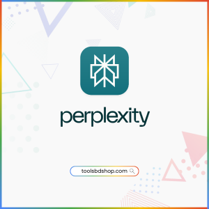 Perplexity Pro